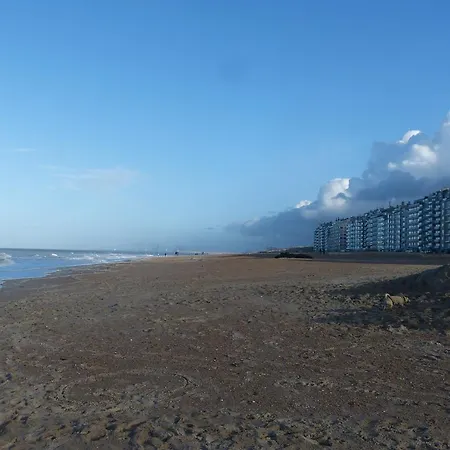 De Tulp Aan Zee ベッド・アンド・ブレックファスト