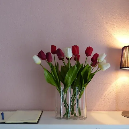 De Tulp Aan Zee ベッド・アンド・ブレックファスト *