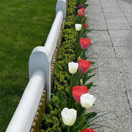 Bed and breakfast De Tulp Aan Zee